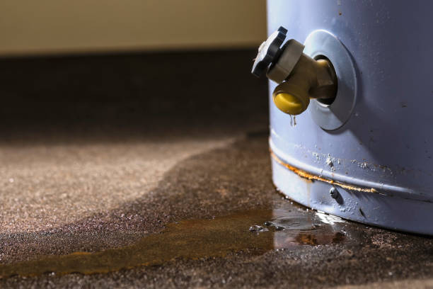 Best Mold removal after water damage  in Weatherly, PA