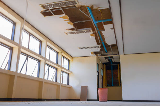 Best Water damage contractors near me  in Weatherly, PA