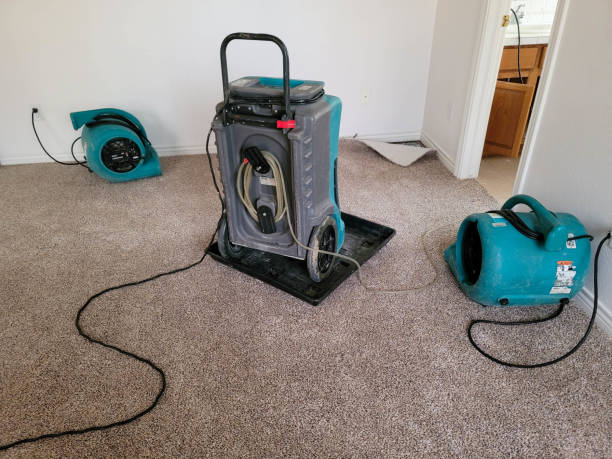 Best Fire Damage Restoration  in Weatherly, PA
