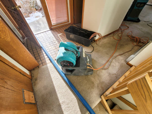 Best Water damage repair service  in Weatherly, PA
