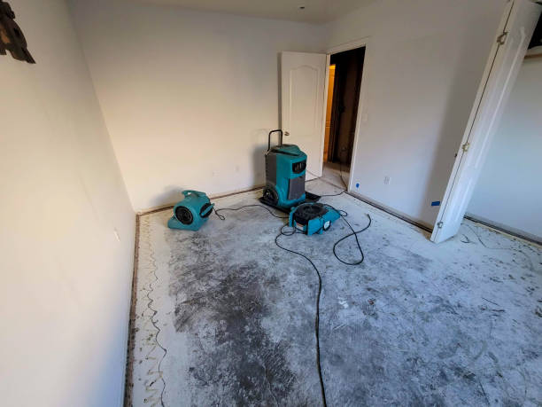 Best Carpet water damage restoration  in Weatherly, PA