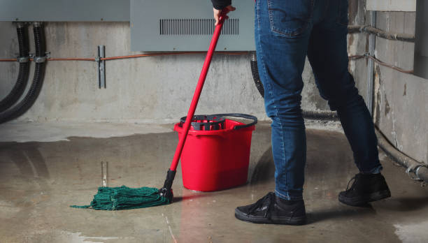 Best Ceiling water damage repair  in Weatherly, PA