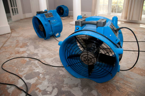 Best Flood restoration services  in Weatherly, PA