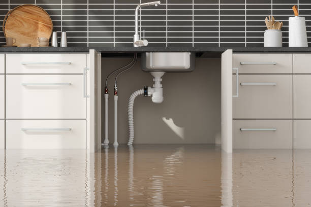 Best Flooded house restoration  in Weatherly, PA