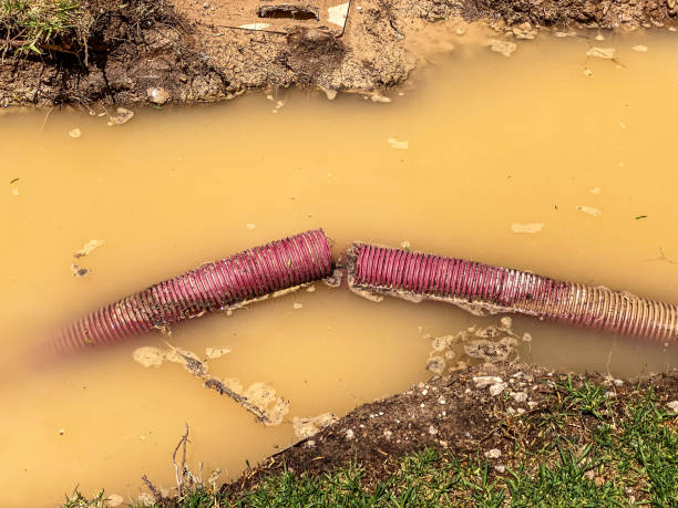 Best Sewage cleanup and water damage restoration  in Weatherly, PA
