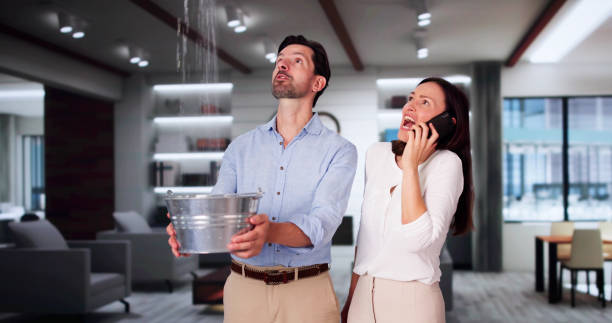Best Water damage cleanup near me  in Weatherly, PA